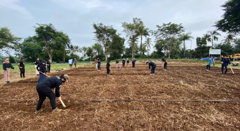 cb9aaa7c-eeb2-4b42-8df8-180d45ee5ece