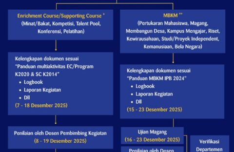 WhatsApp Image 2025-12-10 at 08.47.14