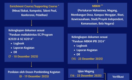 WhatsApp Image 2025-12-10 at 08.47.14